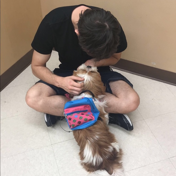 Meet your Posher, Victoria - Picture 4 of 8